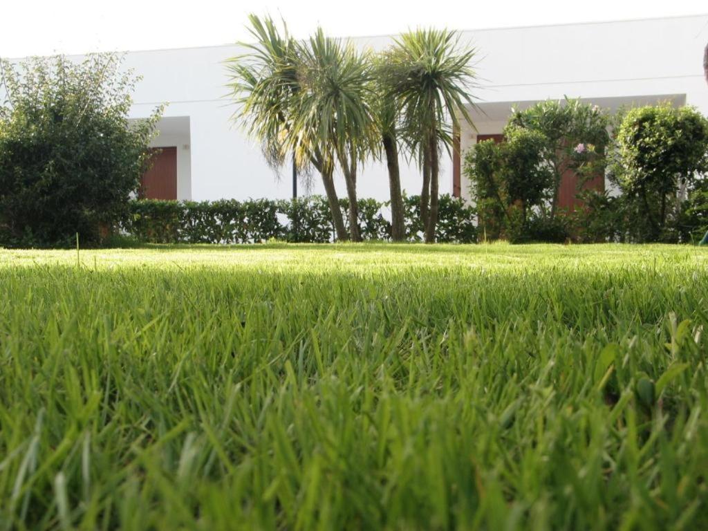 Tenuta Don Monaco - Agriturismo Santa Cesarea Terme Eksteriør bilde