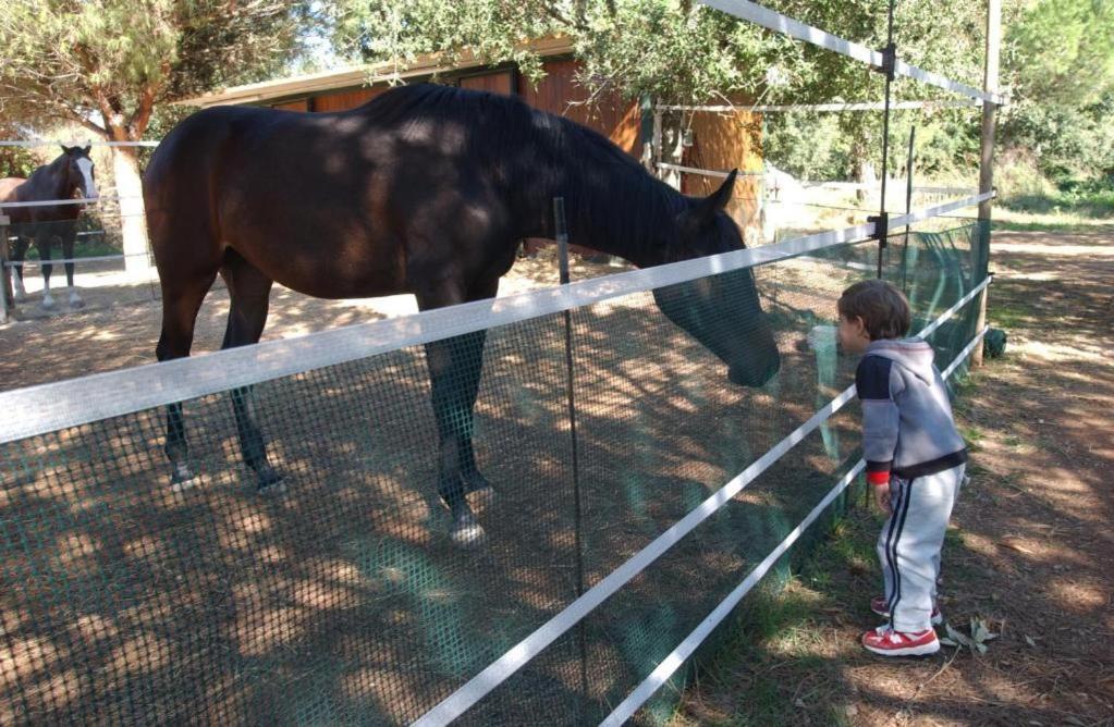 Tenuta Don Monaco - Agriturismo Santa Cesarea Terme Eksteriør bilde