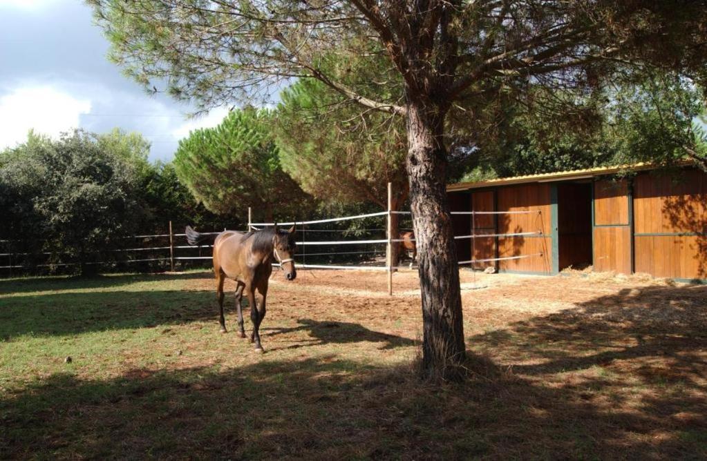 Tenuta Don Monaco - Agriturismo Santa Cesarea Terme Eksteriør bilde